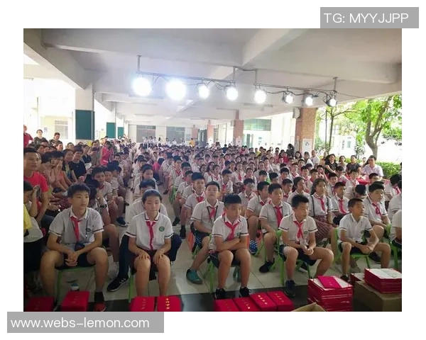 何思雨的成长之路：在风雨中绽放的青春故事与梦想追寻