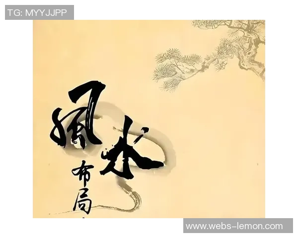 在顾全大局中寻求平衡与和谐的智慧与实践