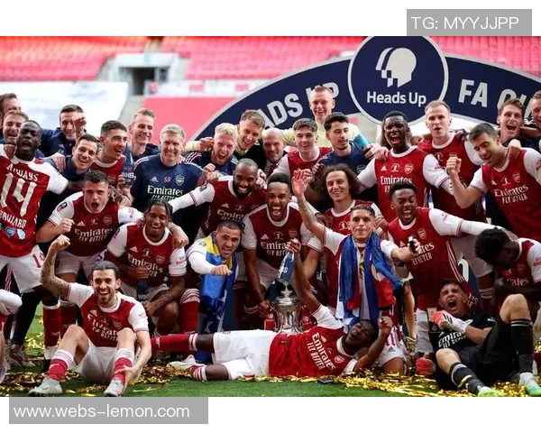 拜仁与阿森纳精彩对决下载资源分享及观看指南