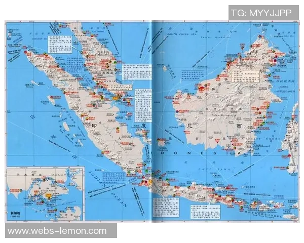 新加坡与文莱篮球直播对决精彩瞬间回顾与分析